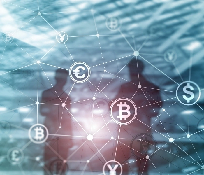 Central Bank Digital Currency